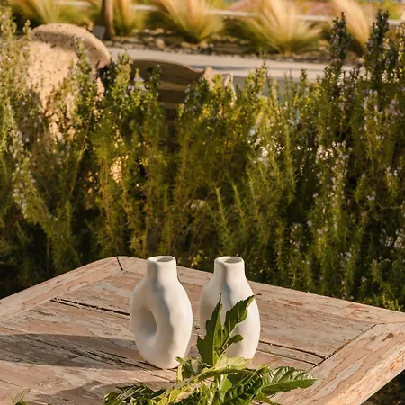 Spathes Suites Kefalonia - Luxury Suites Ρατζακλί Εξωτερικό φωτογραφία