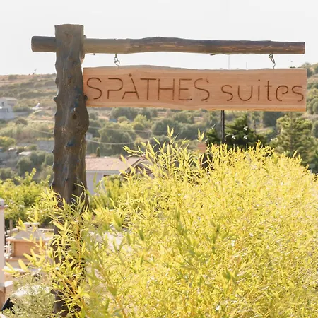 Spathes Suites Kefalonia - Luxury Suites Ρατζακλί Εξωτερικό φωτογραφία